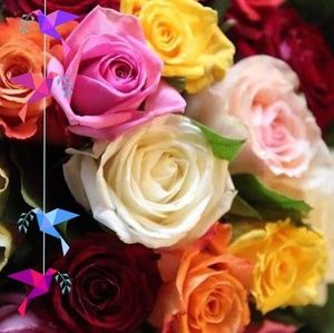 Meet your Posher, Jamie